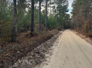 Goo 11a Wendell Ln #Goo-11a, Wagener, SC 29164