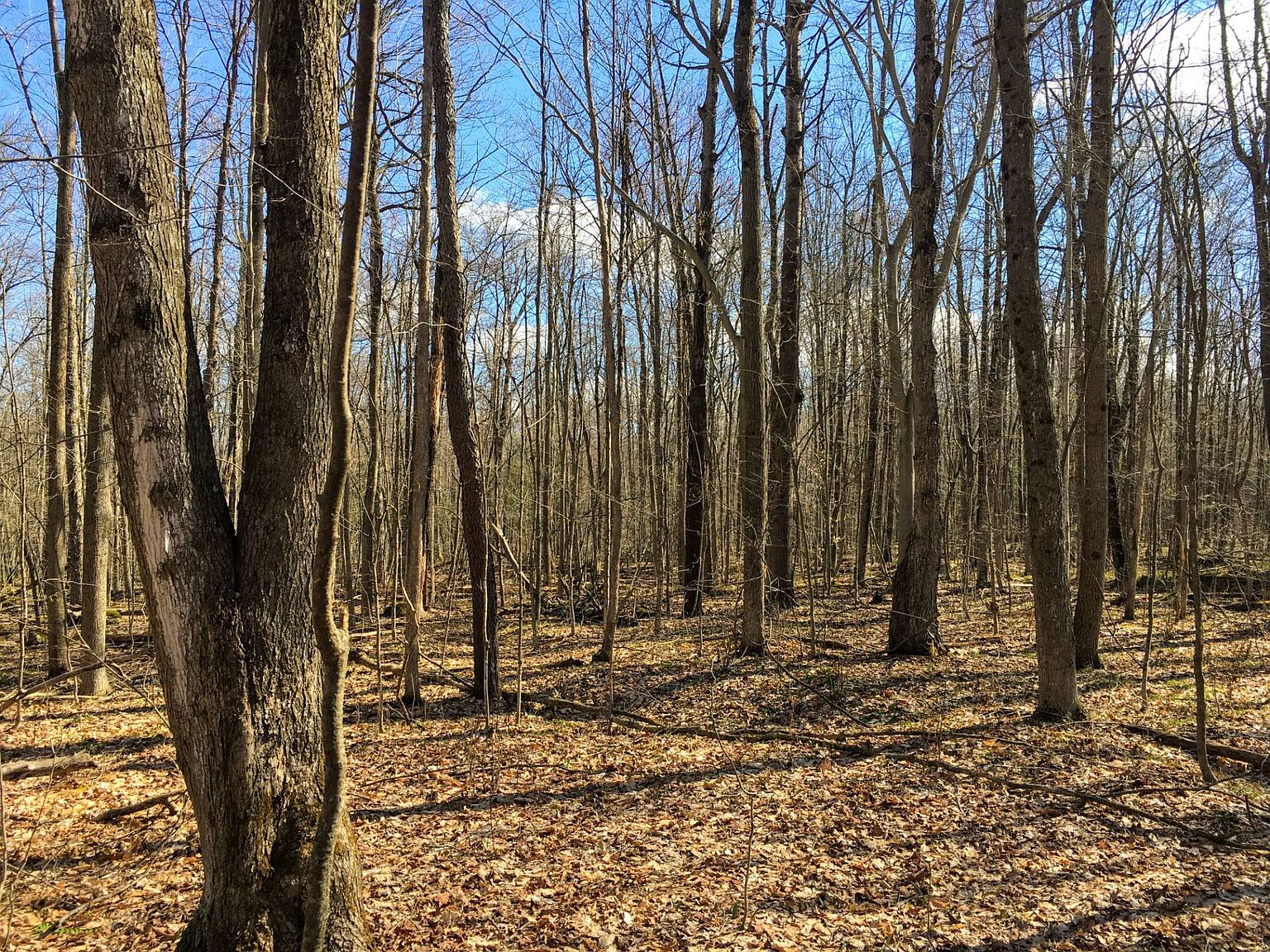 0 County Road 55, Brasher Falls, NY 13613 Zillow