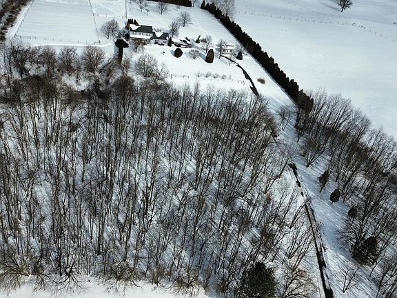 4th image of 151 Tobias Rd