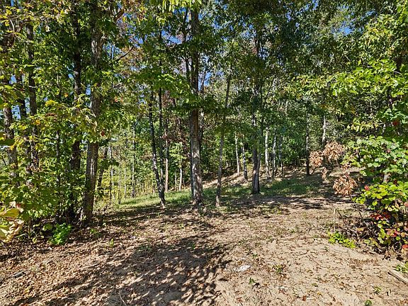3rd image of 0 County Road 574