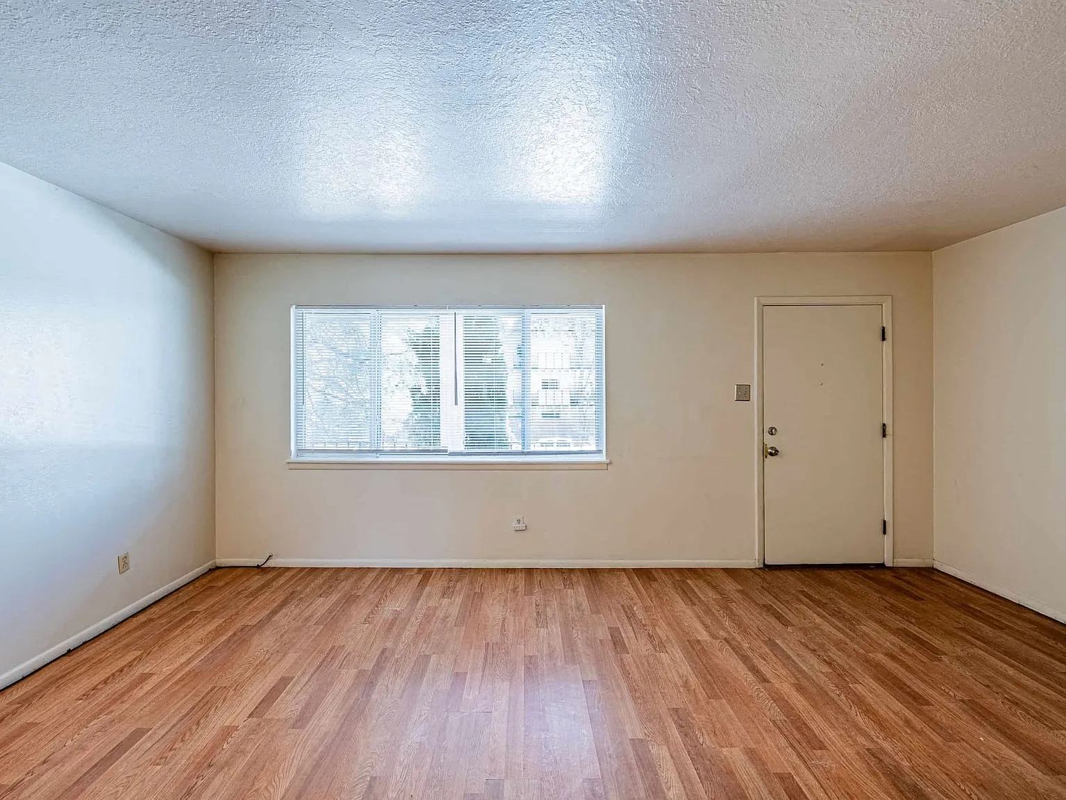 1 bed, 775 sqft, $1,000 — Photo 3