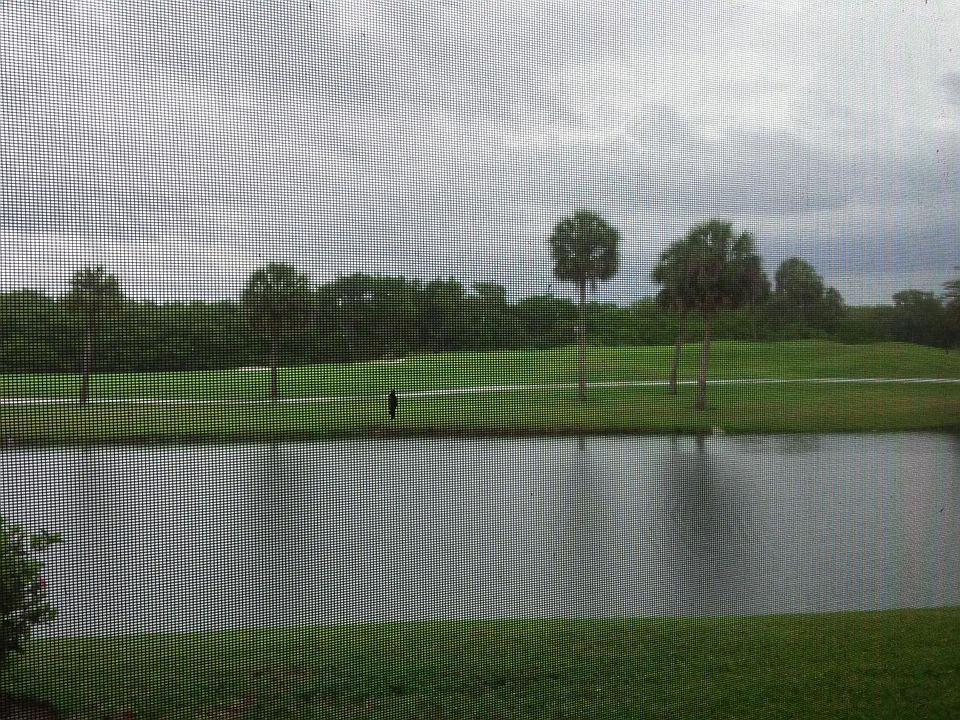 1st image of 2323 Feather Sound Dr #308