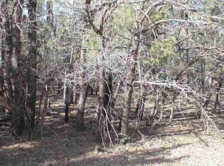 3320 Oakwood Dr, Lakeside, AZ 85929