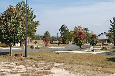 4th image of 5 Blue Heron Poin