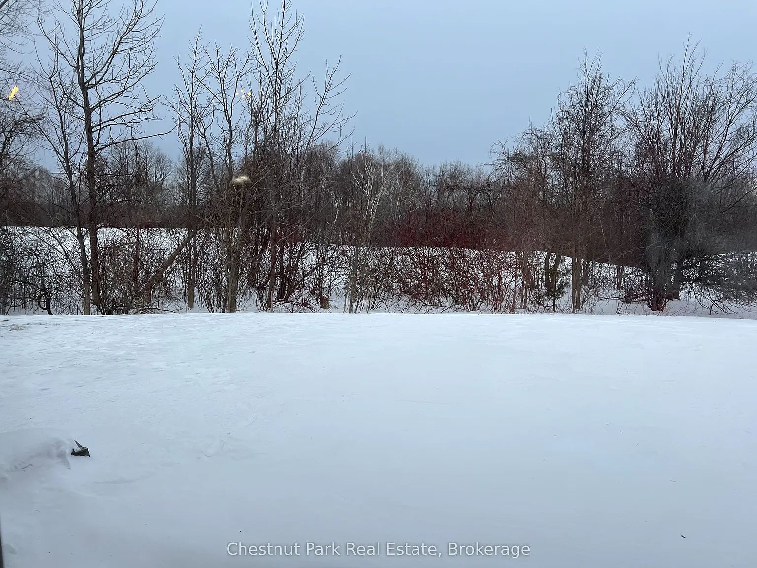2 bed, $2,500 — Photo 4