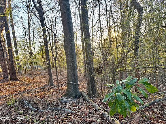 4th image of 1978 Wood Valley Rd