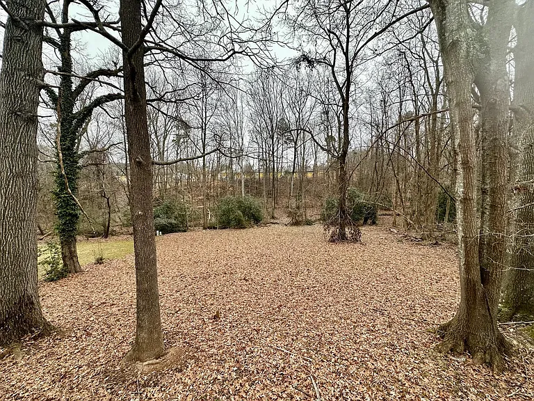 1401 Longbrook Dr — Photo 3