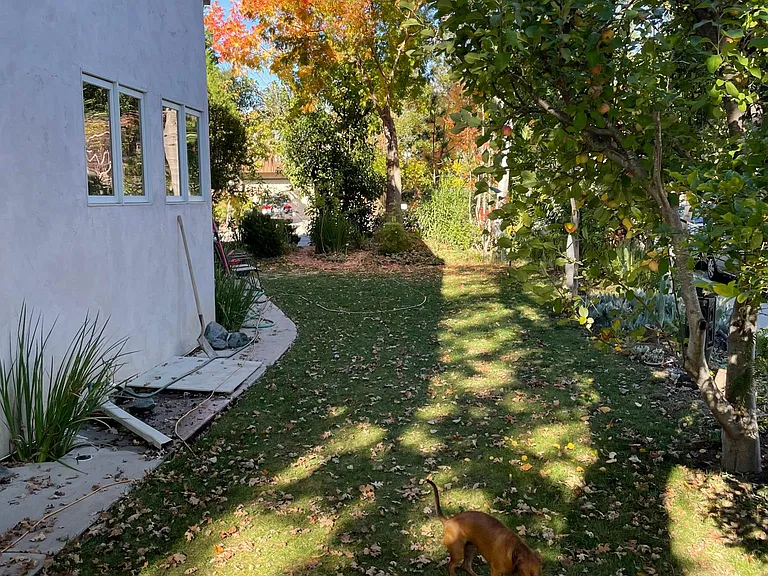 1646 Maple Ave — Photo 17