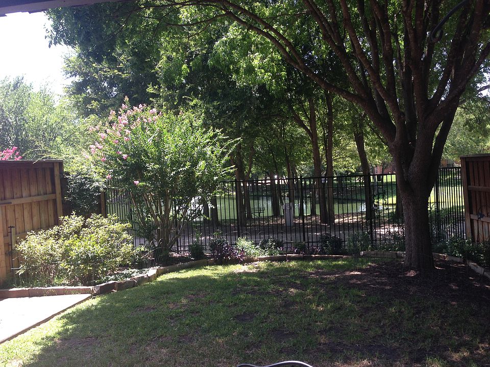 Peaceful backyard 