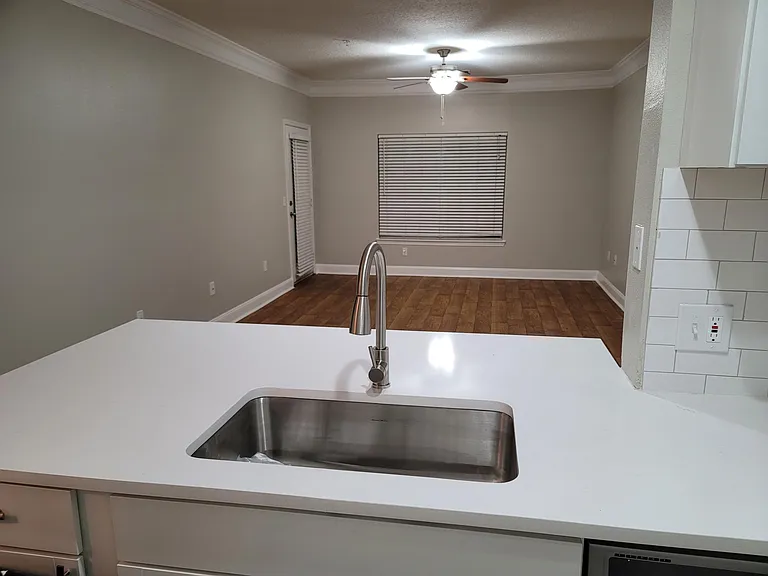 4207 S Dale Mabry Hwy #12305 — Photo 22