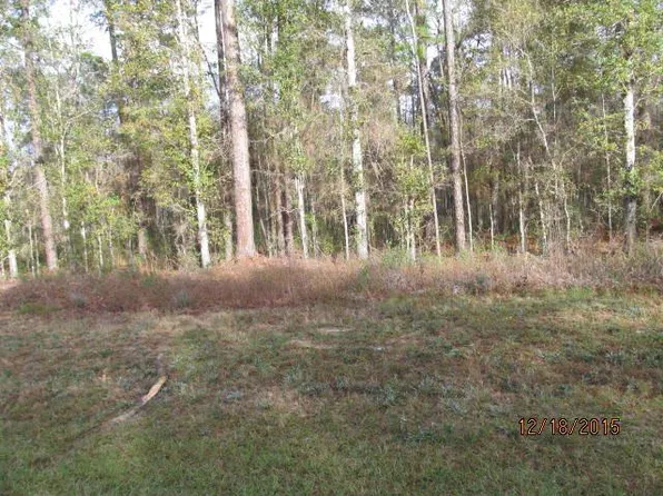 Park Rd, Alford, FL 32420