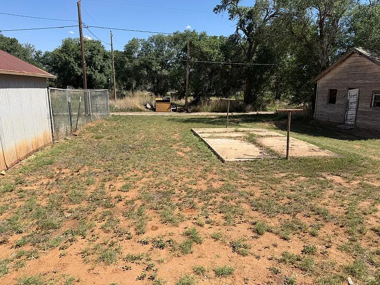 Backyard, near Boys Club lake
