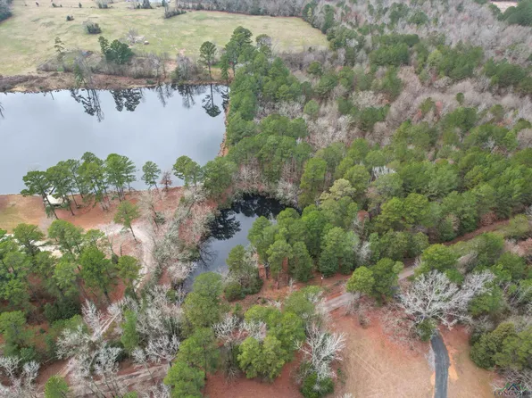 8111 Aster Rd, Gilmer, TX 75644