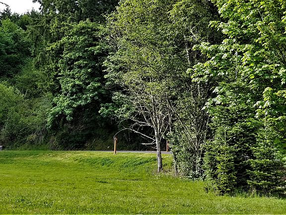5th image of 181 Buckingham Dr