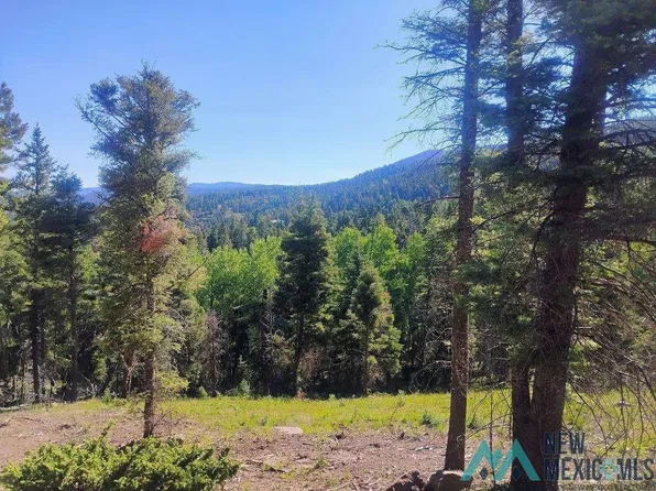 Vail Loop, Angel Fire, NM 87710