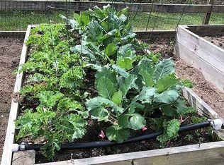 6364 Ranch Rd, Wadmalaw Island, SC 29487