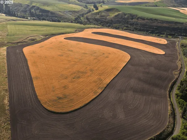 Jones Rd, Saint John, WA 99171