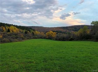 1 S Musician Rd #31, Earlville, NY 13332