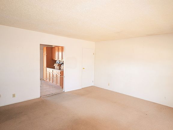 4th image of 2505 Black Pine Ct