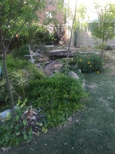 8630 Cheyenne Blf, Converse, TX, 78109