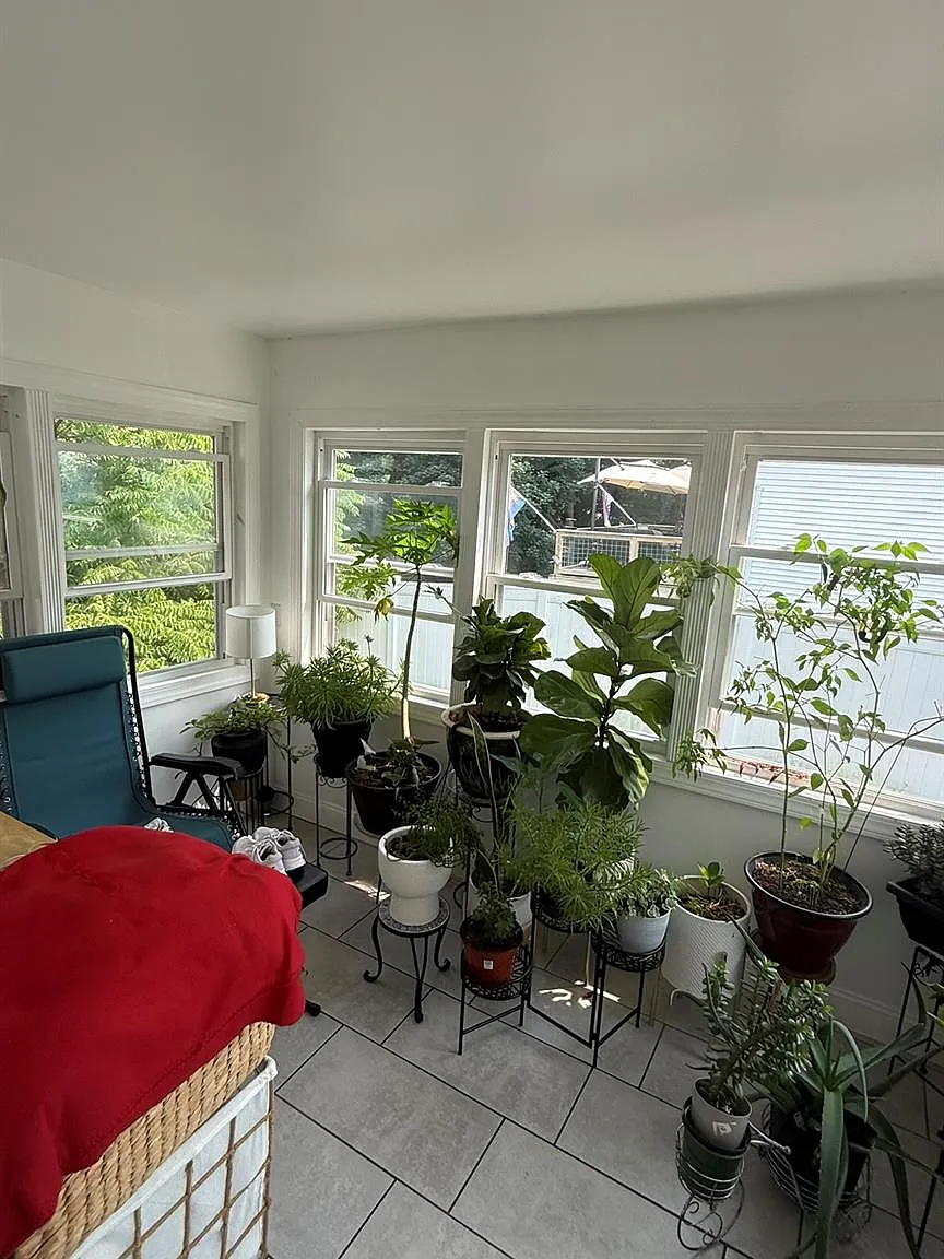 3 bed, 1.0 bath, 1444 sqft, $2,800 — Photo 3