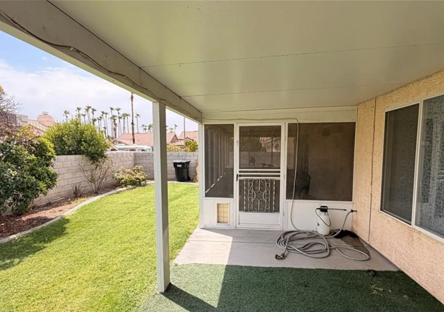 6263 Dalbergia — Photo 3