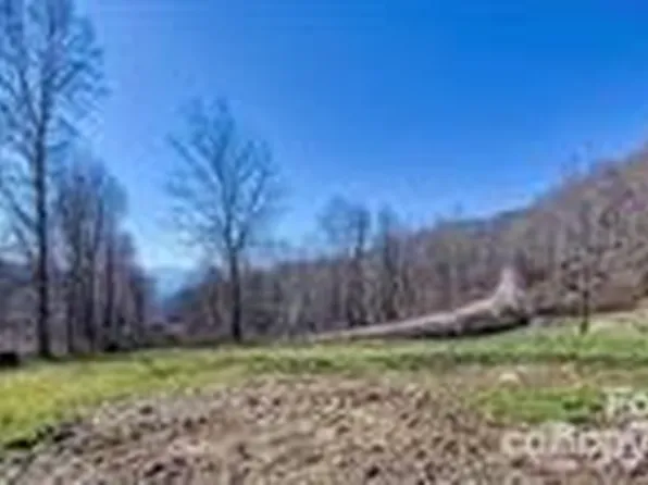 0 Betsys Gap Rd, Clyde, NC 28721