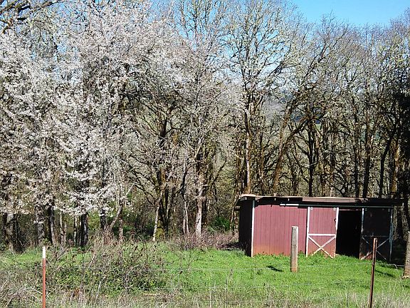 View from back of home