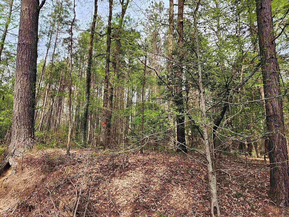2nd image of W Ouachita #63