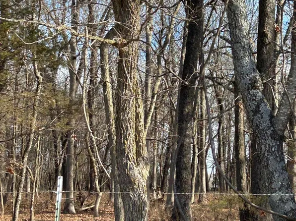 000 N Farm Road 177 #Tract #1, Springfield, MO 65803