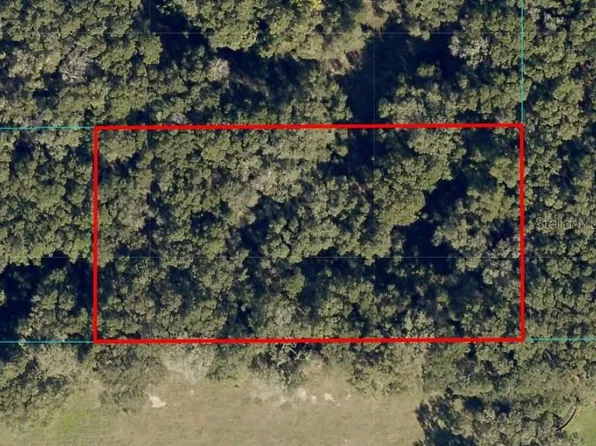 Undetermined, Ocala, FL 34480