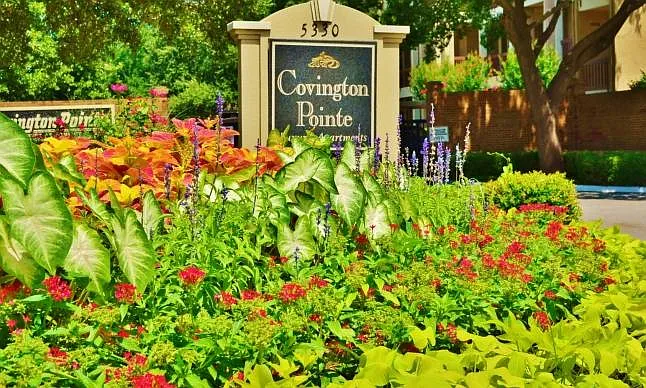Covington Pointe — Photo 20