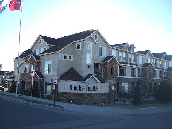2nd image of 431 Black Feather Loop APT 818
