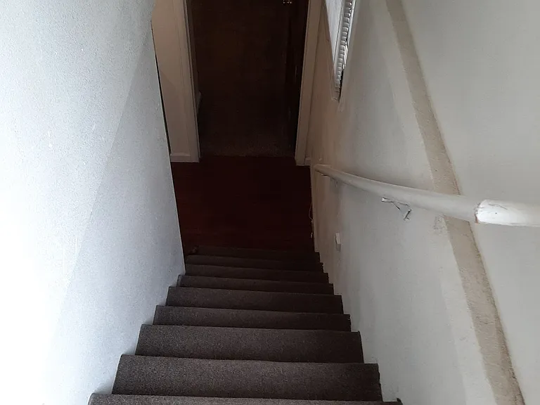 College Housing - 4 bedrooms — Photo 37