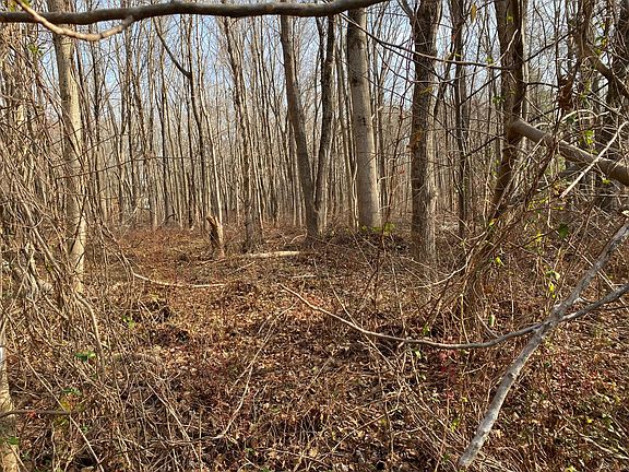 11 Pleasant Hill Lane