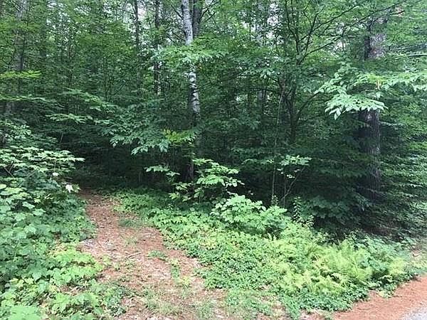 2nd image of 0 Murray Rd