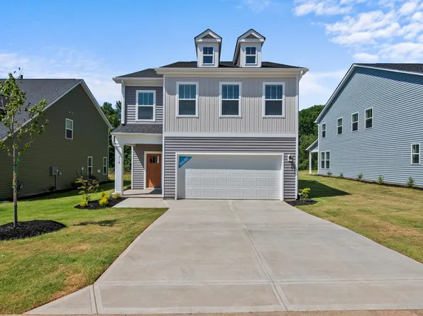 Jasmine Plan, Harrier Point