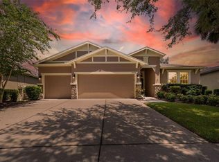 15662 Starling Water Dr, Lithia, FL 33547