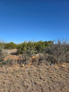 8392 Orient Rd, San Angelo, TX, 76905