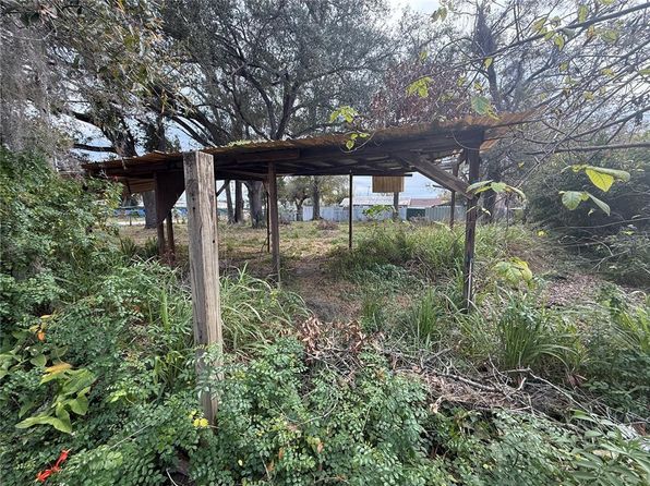 tampa-florida-82040883 picture