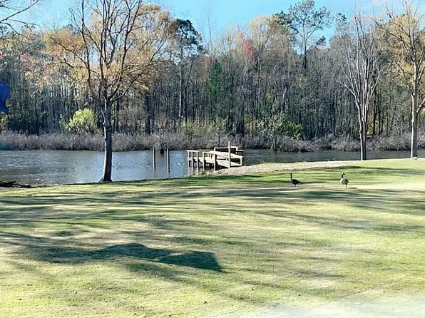 1221 Dove Ln, Summerton, SC 29148