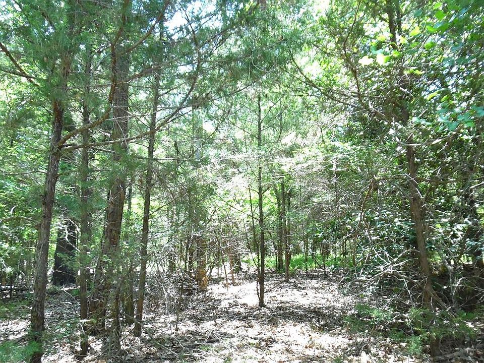 1st image of 21 Dogwood Dr