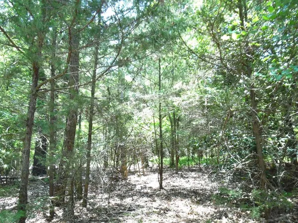 21 Dogwood Dr, Murchison, TX 75778