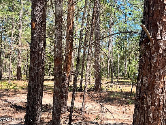 2nd image of 219 MAGNOLIA Road
