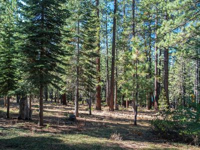 11260 Mougle Ln, Truckee, CA, 96161