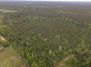 County Road 4036, Bon Wier, TX 75928