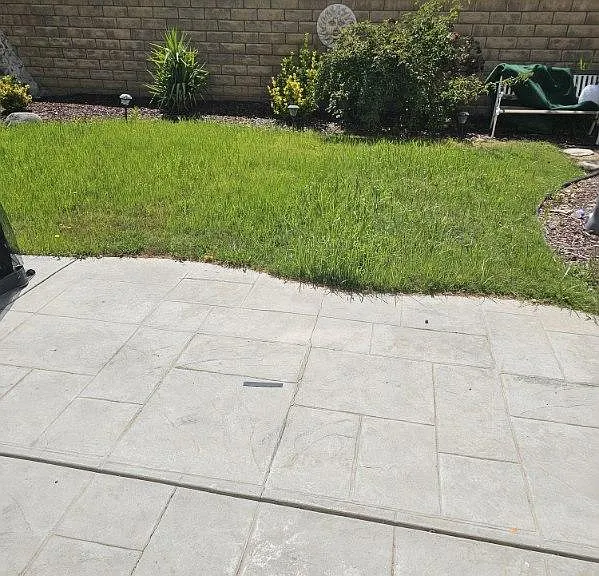 37636 Mangrove Dr — Photo 8