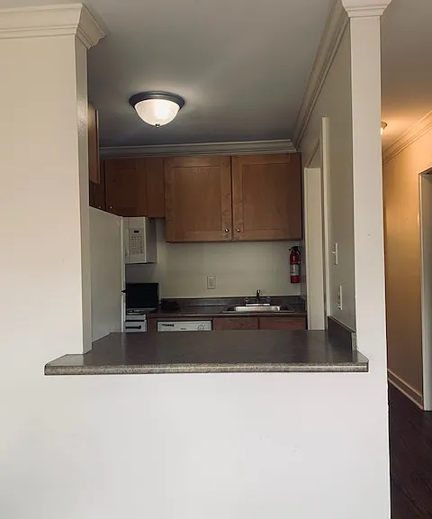 2833 Magazine St #204 — Photo 4