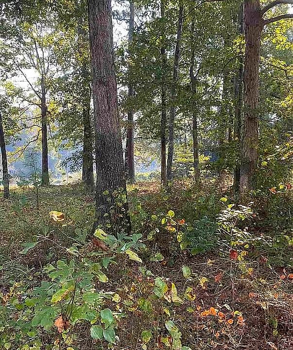 2nd image of LOT 60 Hillandale Dr