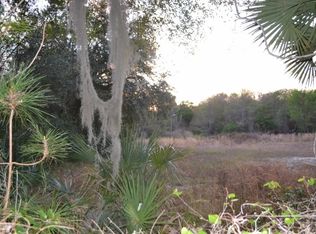 0 Maytown And Beacon Light Road, Oak Hill, FL 32759
